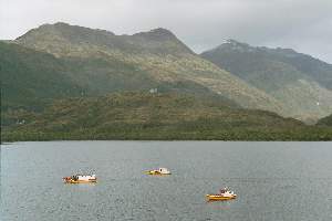 Vissersbootjes van Puerto Edn